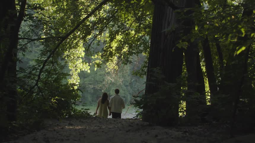 A man and woman are walking hand in hand on a path in a sunlit forest