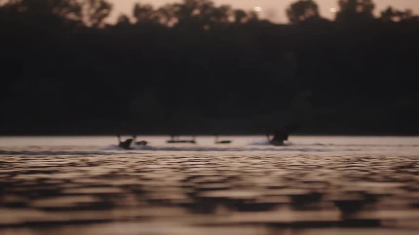 A flock of birds skims a calm lake at dusk with dark tree silhouettes on the horizon