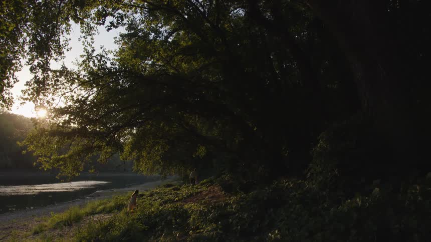 Two people walk along the riverside surrounded by greenery bathed in golden sunlight streaming through the trees