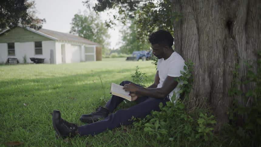 A man sits under a tree reading a book in a rural field
