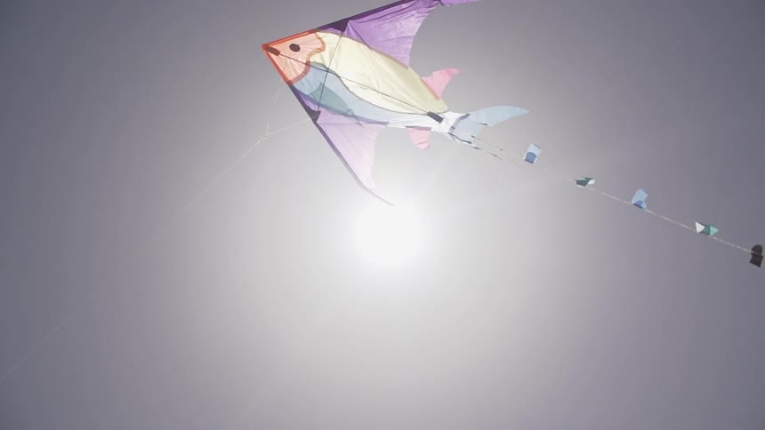 A colorful kite in the shape of a fish flying on a bright sunny day