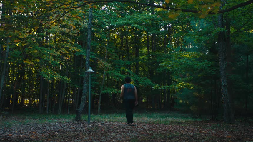 A young man walking outdoors into a woodland area during daytime