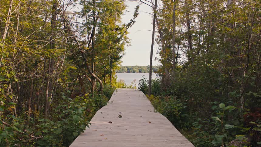 A wooden boardwalk leading to the riverbank