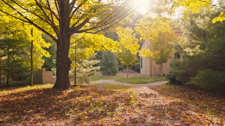 Autumn season with fallen leaves covering the ground in a rural community with sparse buildings at midday