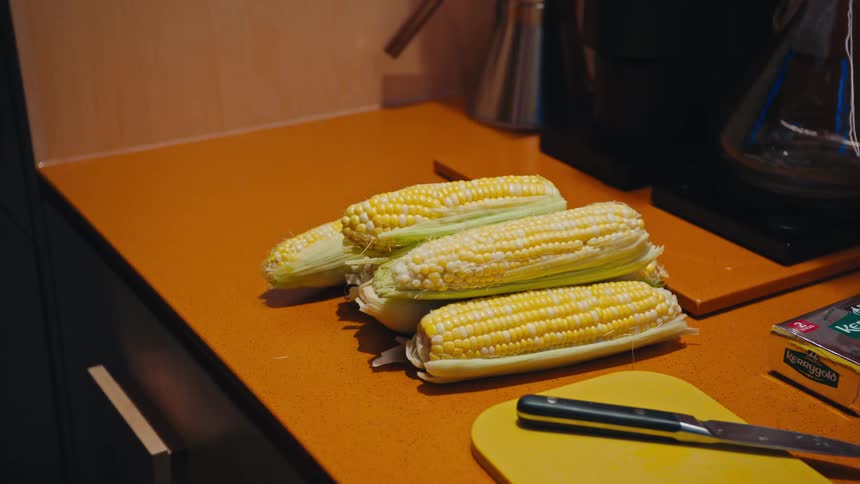 Hands arranging fresh corn cobs on a kitchen counter