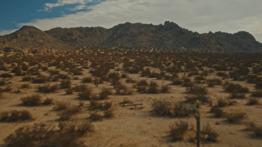 Desert landscape with scattered shrubs and rocky mountains in the background under a partly cloudy sky