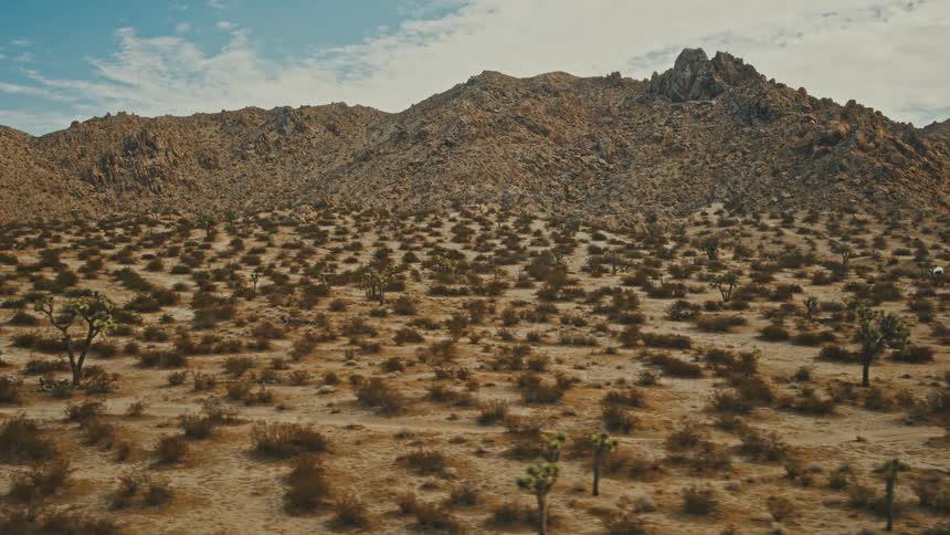 The video is a wide shot of a desert landscape with a large rocky mountain dominating the background the foreground is covered with small scattered shrubs and several joshua trees growing out of the dry sandy soil