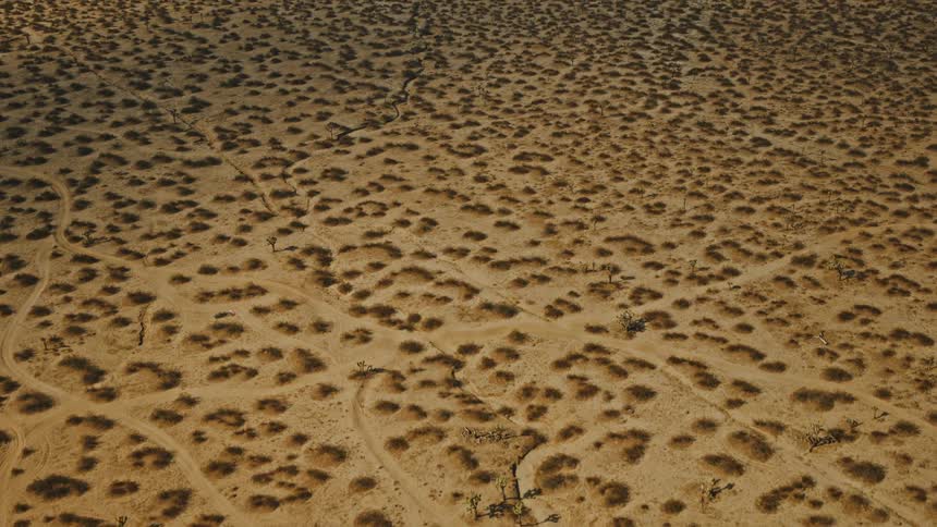 The landscape is covered in sand and shrubs