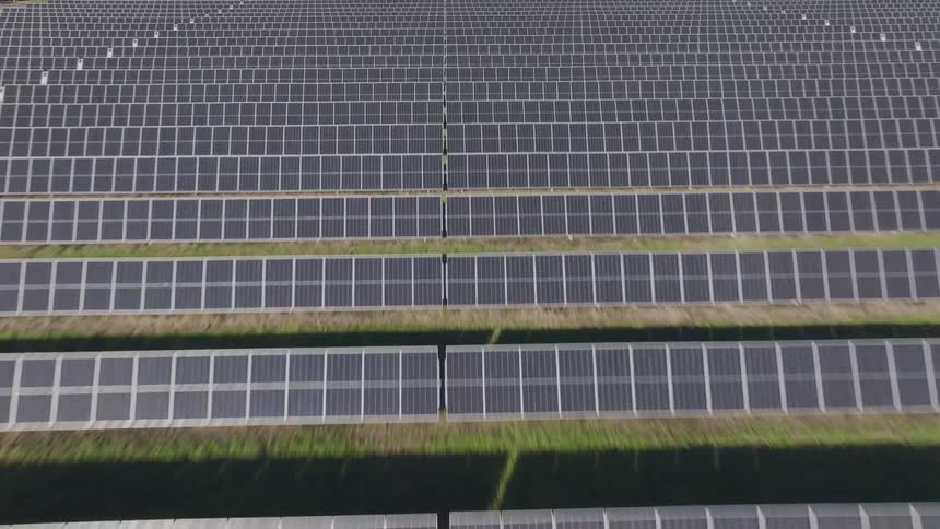 A wide field filled with rows of solar panels glistens under the bright sun on a clear day