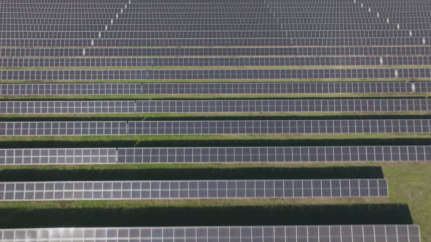 The fields are covered in solar panels on a sunny day