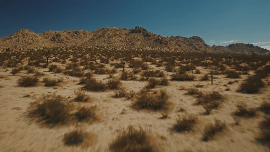 An aerial view flies quickly over a brown desert landscape covered in joshua trees and scrub brush toward a ridge of rocky sunlit mountains under a clear blue sky