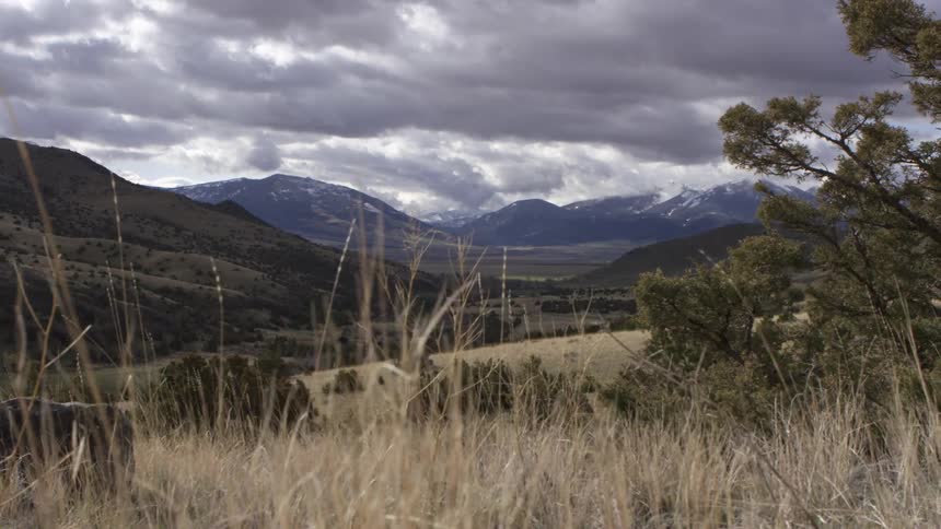 Snowcovered mountains rise beneath a cloudy sky with dry vegetation scattered across the terrain