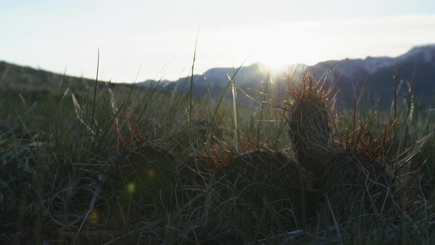 Sun peaking over the mountains shines onto a grassland on a cloudy day
