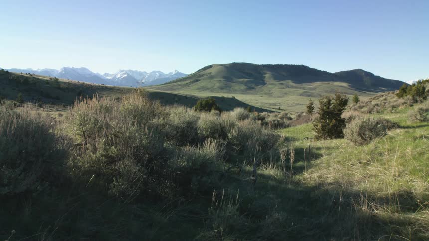A large field with mountains in the background