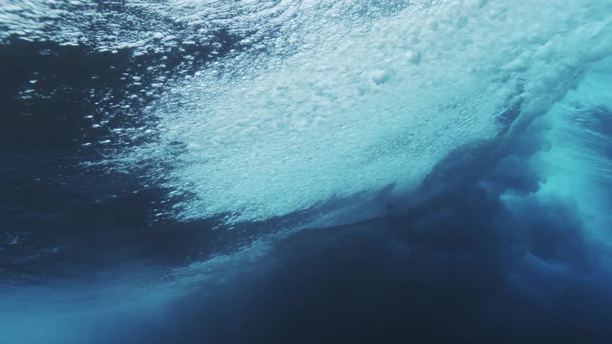 A narwhal swims underwater near the icy surface