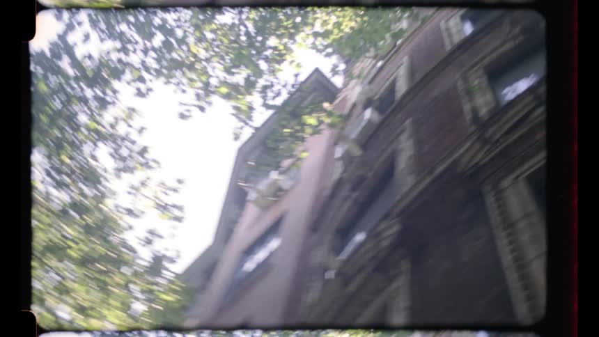 Facade of an apartment building framed by sunlit green leaves