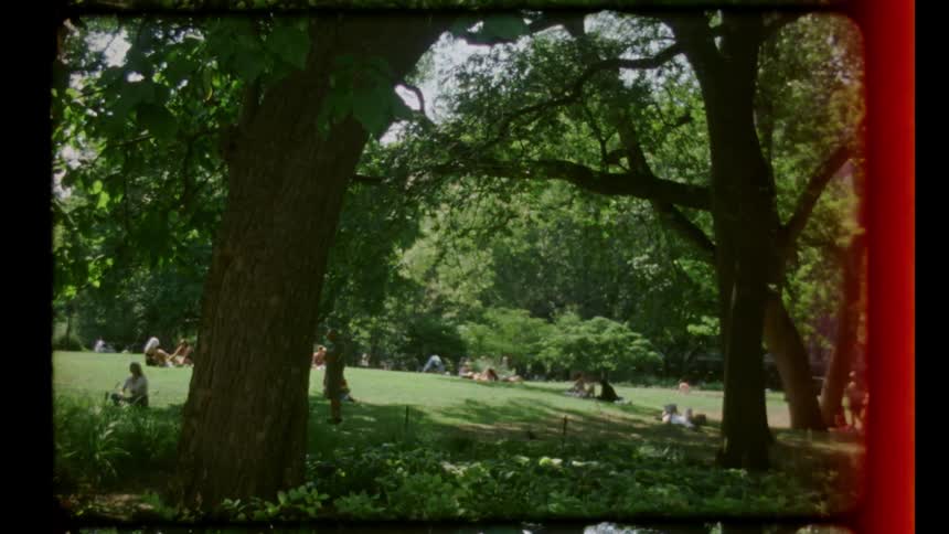 People relaxing on a grassy hill in a park on a sunny day