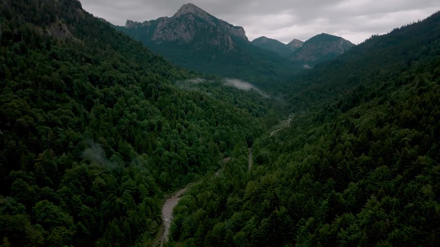 Aerial view of a river winding through a forest valley beneath mountains
