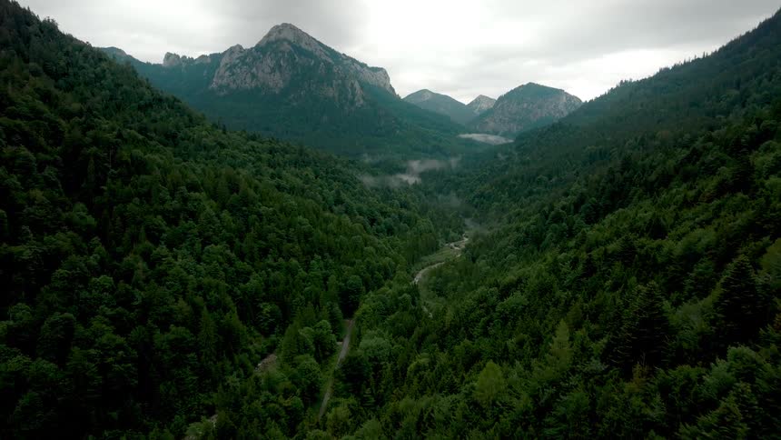 Aerial view of a green forest valley leading to misty mountains