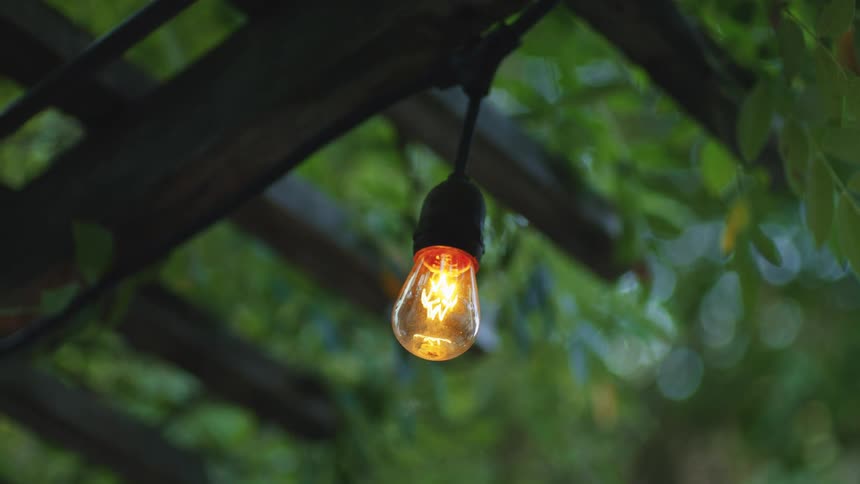 Lit bulb hanging under a wooden structure surrounded by green foliage