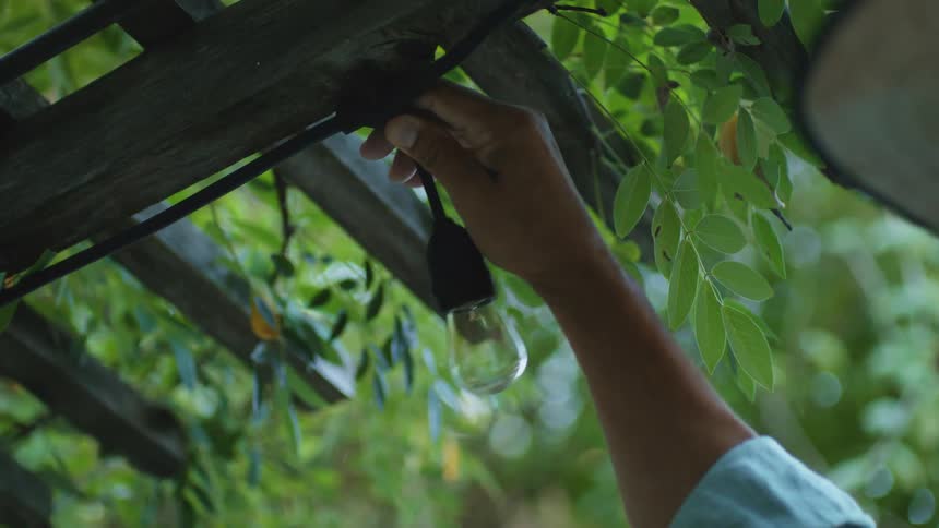 A persons hand holds a glass light bulb the hand adjusts the bulb on a black wire the wire is attached to a wooden overhead structure green leaves and branches hang around the structure in an outdoor setting