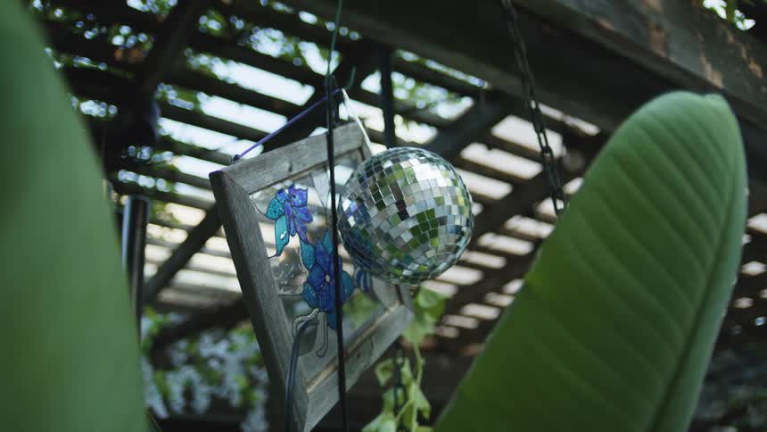 Mirror ball and decorative frame hanging under a pergola with foliage
