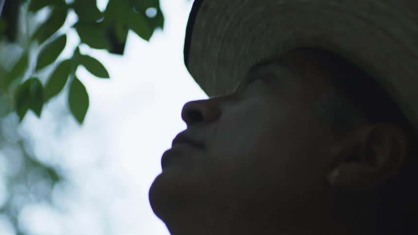 A person wearing a straw cowboy hat looks up toward a bright sky and green leaves partially frame the top of the shot
