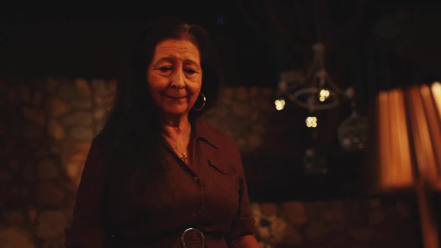 Longhaired woman in a warmly lit setting