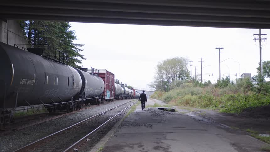 Person walking beside train cars under a viaduct on a cloudy day