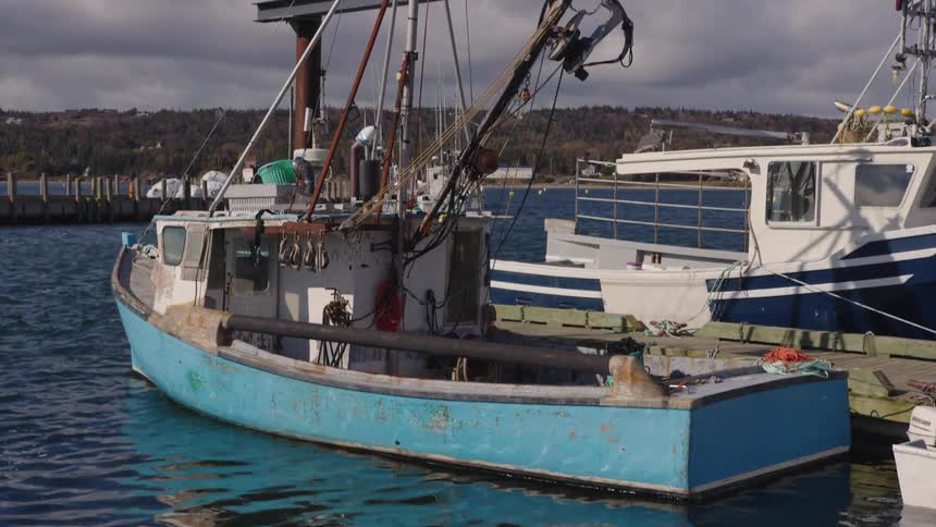 A blue fishing boat floats next to a wooden dock and a larger white boat with harbor buildings and forested hills visible across the dark water under an overcast sky