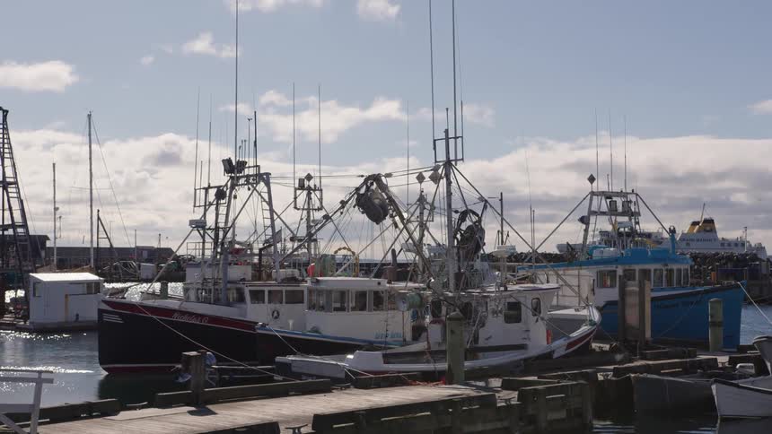 White motorboat docked on a port outdoors during day time