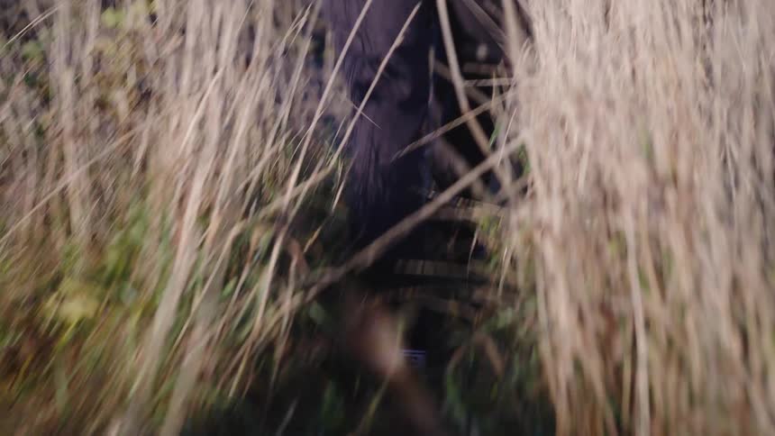 The man is hiking towards the forest