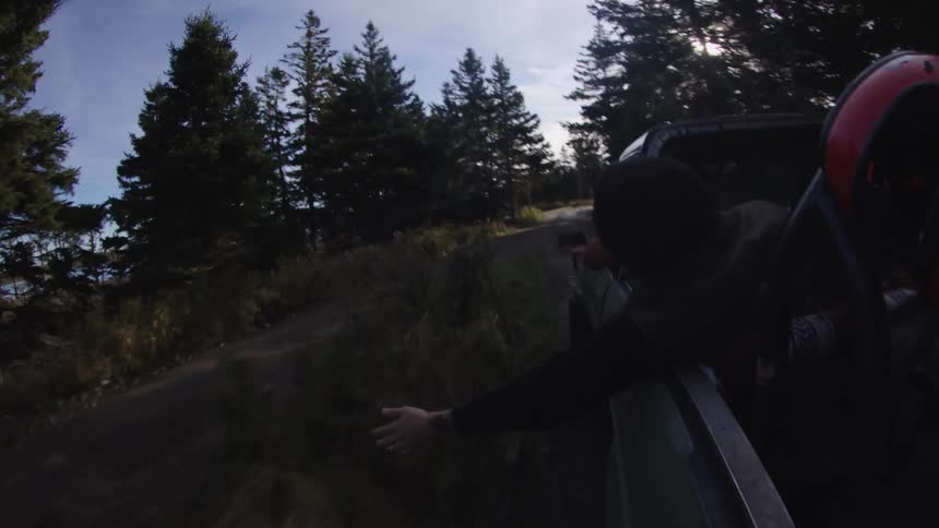 Person in the back of a vehicle reaches out while driving along a forest road