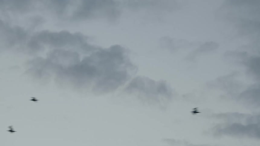 The video shows a quick shot of several birds flying across a mostly gray and cloudy sky the birds are small dark silhouettes as they quickly move from the top right to the left of the frame