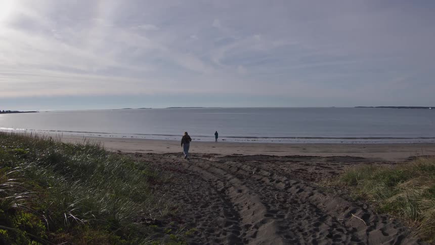 A high wide view shows two distant figures on a dark sand beach with sea grass in the foreground and a long calm stretch of ocean meeting a bright slightly overcast sky