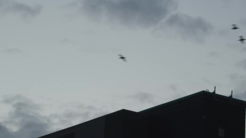 Birds fly above a building roof against a cloudy sky