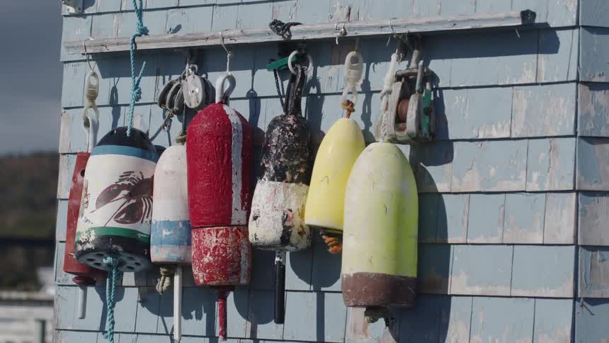 Weathered colorful buoys hang on a blue wooden wall near the sea