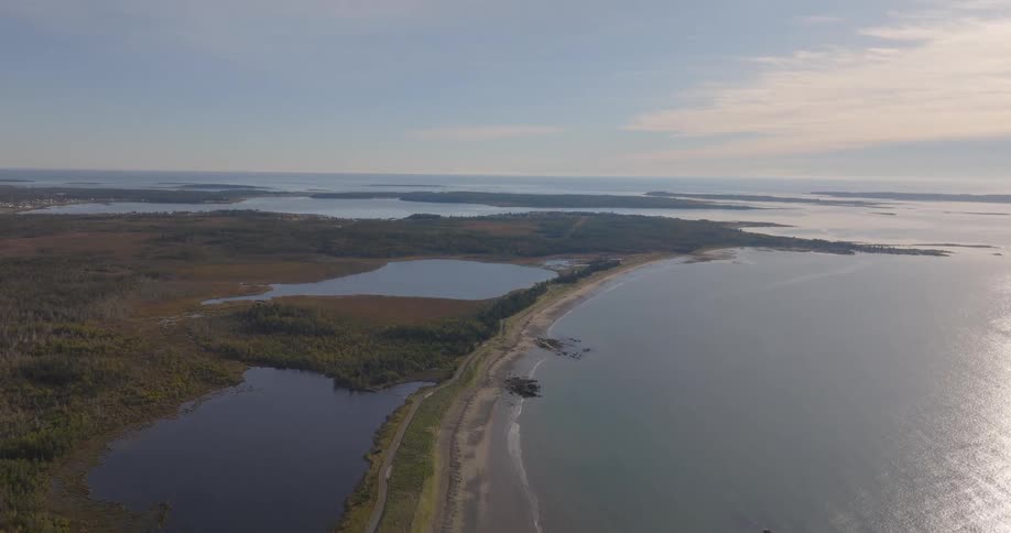 Aerial view of a beach curving between forest and calm sea under a soft sky