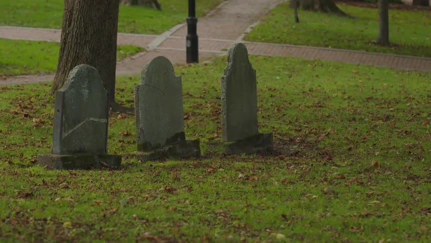 A row of three weathered gravestones stands on a leafspeckled lawn with a cement path in the background