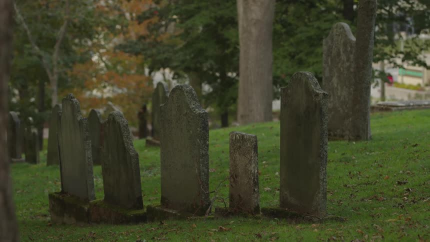 Several tombstones in a cemetery