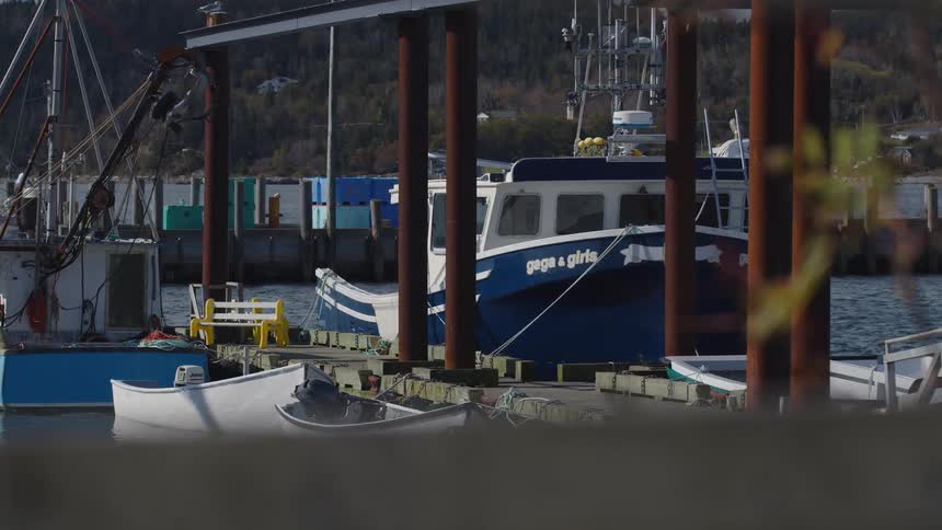 The boat is docked in the marina