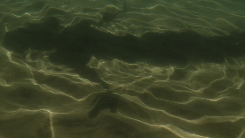 A female shadow is reflected on shallow water on a sunny day