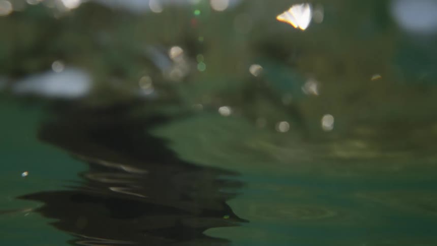 A young blonde woman swimming in the sea and surfacing