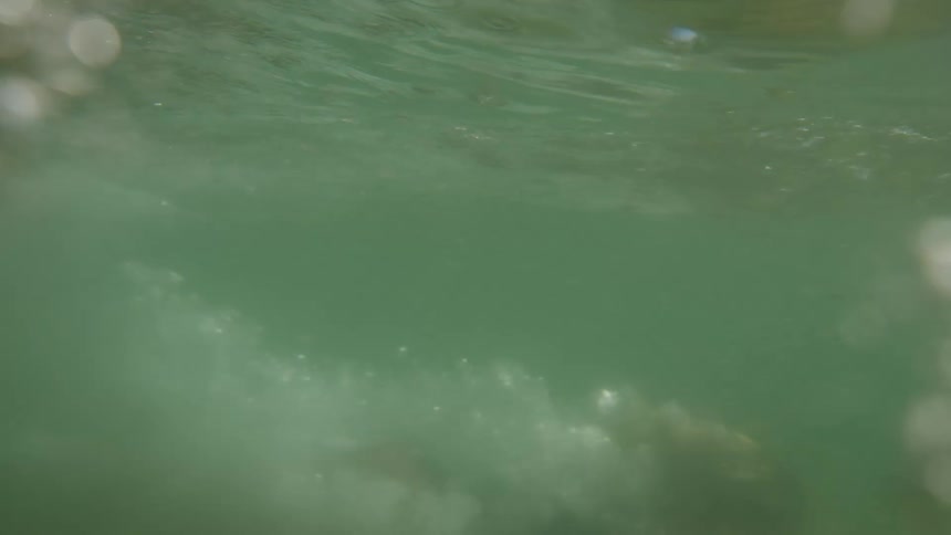 A woman dives into water