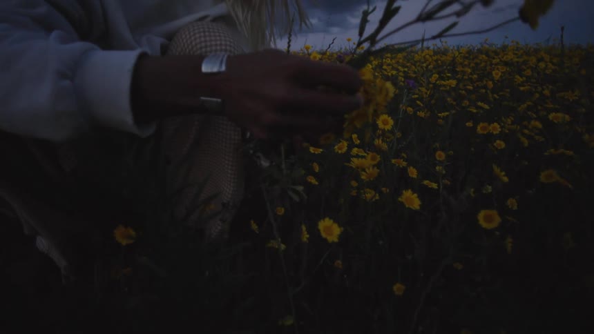 Close up of a young woman gathering a sunflower bouquet from an outdoor field at dusk