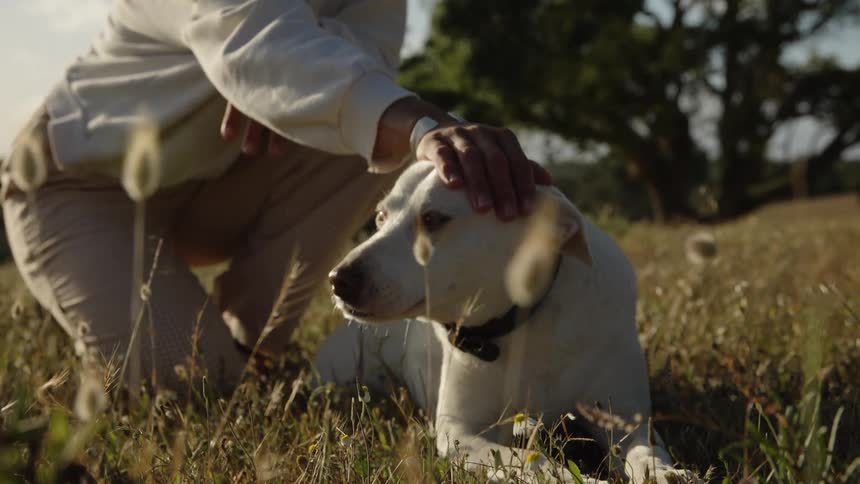 A man pets a dog lying on the grass outdoors at midday