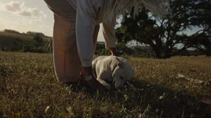 A person with long light hair bends down and interacts with a white dog in a grassy field the dog runs and rolls playfully on the ground the person then stands up and bright sunlight shines from behind the figures