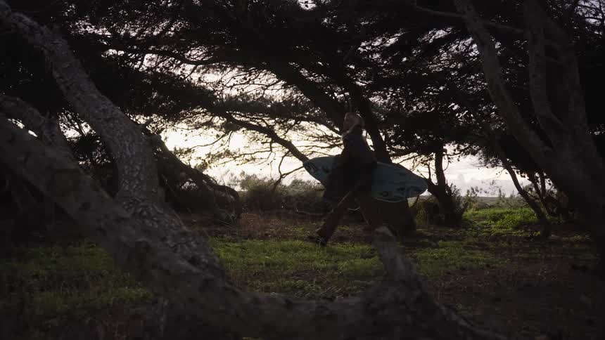 Person walking among trees carrying a surfboard at sunset