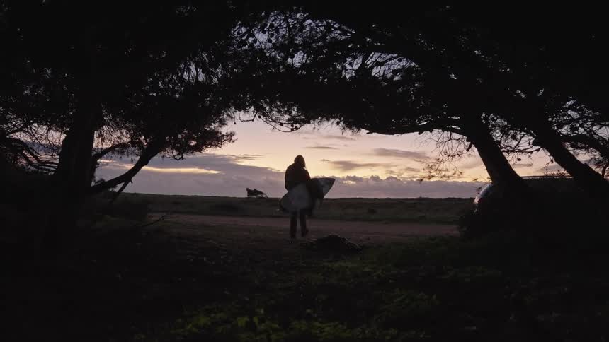 A person walks through a field with their surfboard