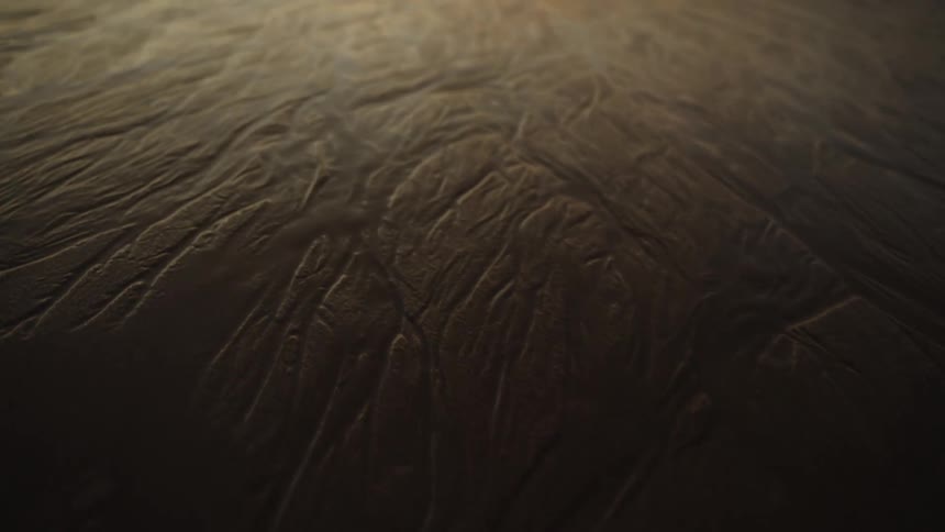 Texture of wet sand with grooves formed by gentle waves